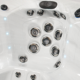 Biomagnetic Therapy System